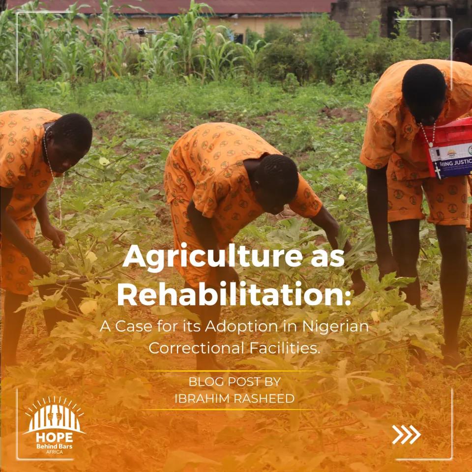 Agriculture as Rehabilitation: A Case for its Adoption in Nigerian Correctional Facilities.